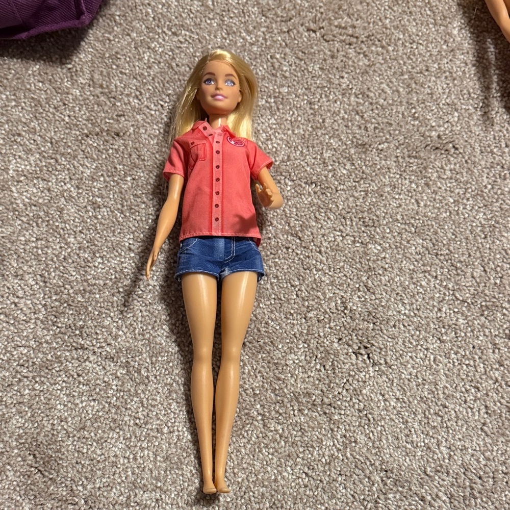 Barbie animal rescue